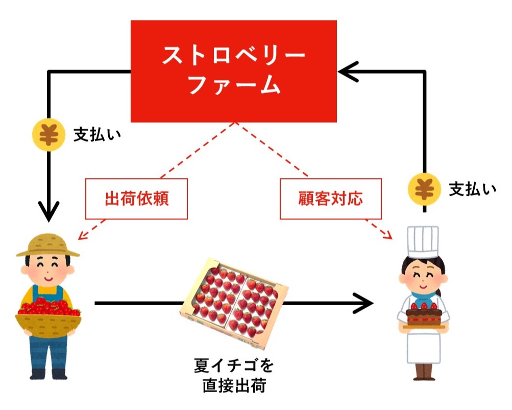 夏イチゴ販売販路開拓連携系統出荷販売支援