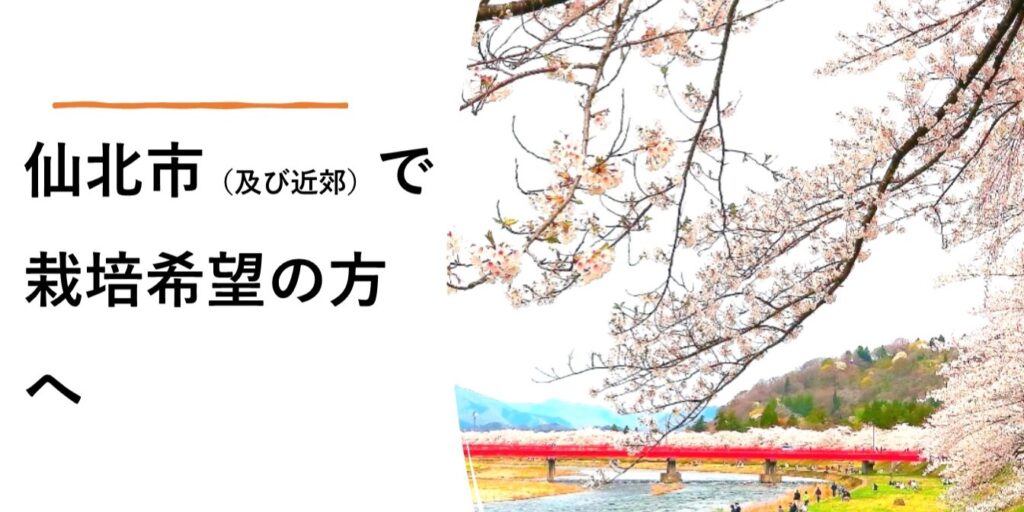 仙北市で夏イチゴ栽培新規就農希望の方向け支援