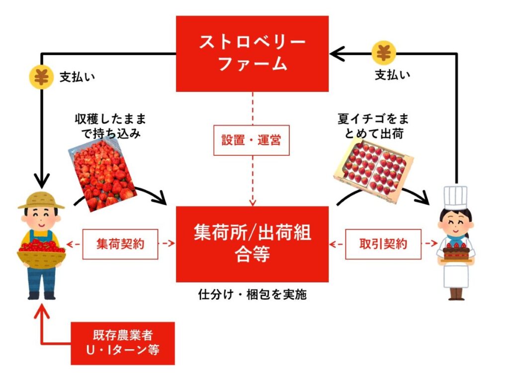 夏イチゴ産地創出高収益生産性向上農業振興